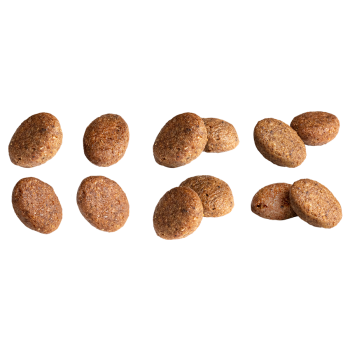 Adult Digestion+ 10kg - Hypoallergene brokjes voor honden van alle groottes - Euro Premium