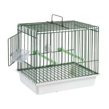 Cage de transport "CINCIA" Verte avec fond en plastique vert