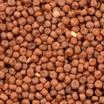 Engelse erwten - Esdoorn erwten 20kg