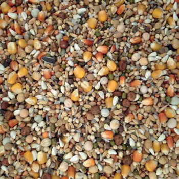 Sport Exclusif 20 kg - Nummer 39 - Vanrobaeys