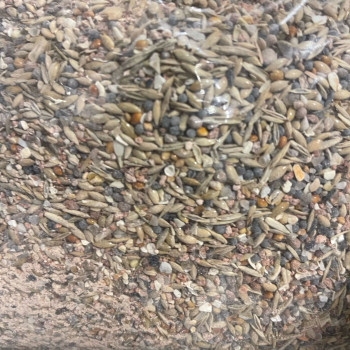 Katanga Animalis 3kg - Mélange de minéraux et de graines pour oiseaux