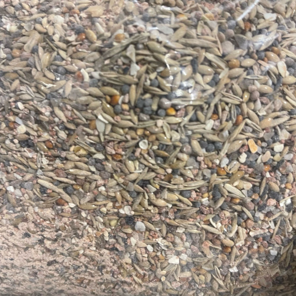 Katanga Animalis 3kg - Miscela di minerali e semi per uccelli