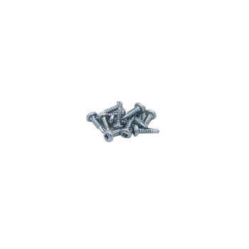 Screws for lock & hinge (25 pieces)