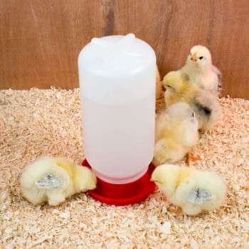 Abbeveratoio per quaglie e pulcini rosso 1L