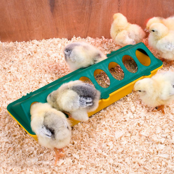 Linear feeder for chicks in plastic, 30cm, yellow - green