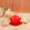 Tränke für Küken und Wachteln 0,6L - transparent rot Tränke für Küken und Wachteln 0,6L - transparent rot