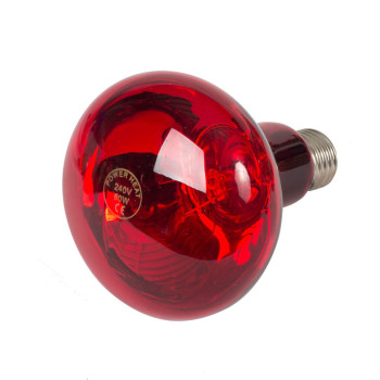 Infraroodlamp R95 60W / 240V / E27- Powerheat