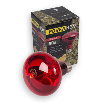 Infrared bulb R95 60W / 240V / E27 - Powerheat