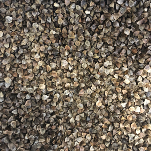 Sarrasin 1 kg - Vrac