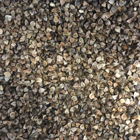 Sarrasin 1 kg - Vrac Sarrasin 1 kg - Vrac