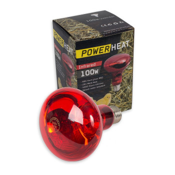 Infrared Bulb R95 100W - 240V - E27- Powerheat