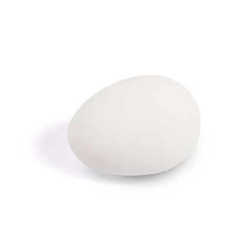 Rubberen ei voor witte kippen