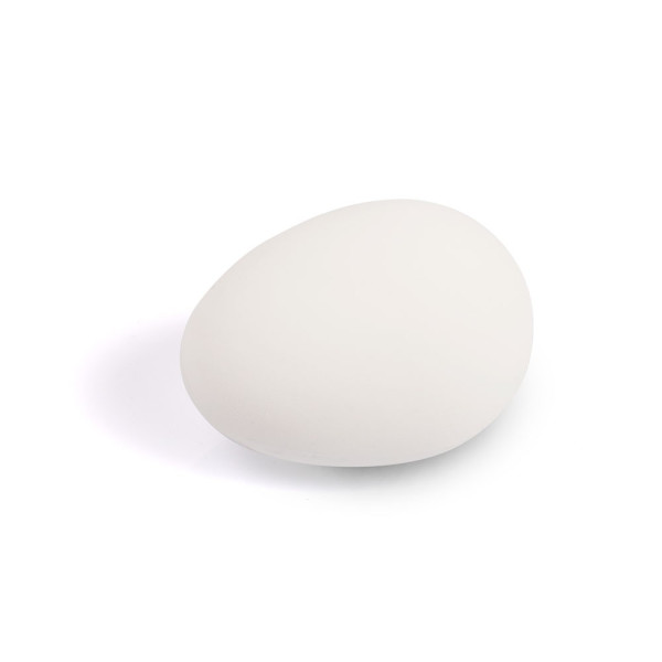 Uovo in gomma per galline bianco