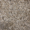 Alpiste (Millet Plat) 1kg - Vrac Alpiste (Millet Plat) 1kg - Vrac
