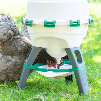 Optimus poultry waterer