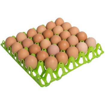 Vassoio verde per 30 uova di gallina