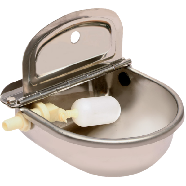 Automatic stainless steel waterer for dogs
