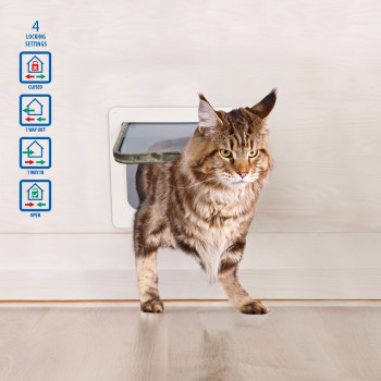 Large transparent cat flap with 4 locks and a tunnel