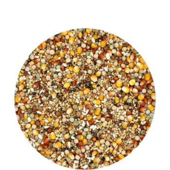 Breeding and sport extra 5 kg