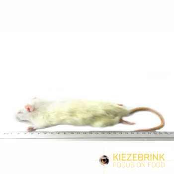 Frozen rats 90-150g - 5 pieces