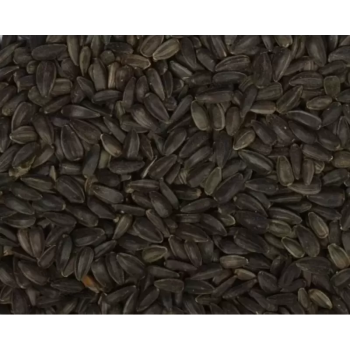Semente de girassol preta 1kg - A granel