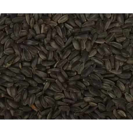 Black sunflower seeds 1kg - Bulk Black sunflower seeds 1kg - Bulk