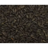 Semente de girassol preta 1kg - A granel Semente de girassol preta 1kg - A granel