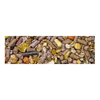 Horse Poney e asino 20kg - Alimento per pony e asino - Vital