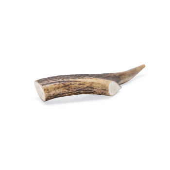 Antler - Medium - 1 piece