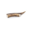 Antler - Medium - 1 piece Antler - Medium - 1 piece