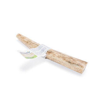Antler - Medium - 1 piece