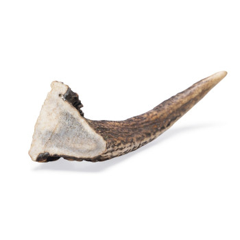Antler - Large - 1 piece