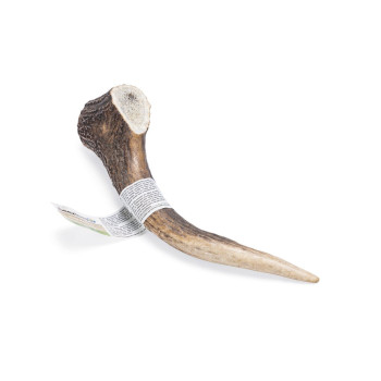 Antler - Large - 1 piece