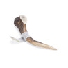 Antler - Large - 1 piece Antler - Large - 1 piece