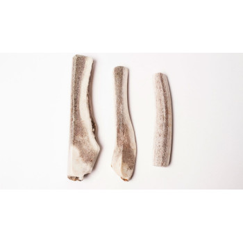 Cut antler - Medium - 1 piece