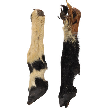 Pied de mouton avec poils - 2 pièces