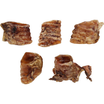 Traqueia de boi 100g - 5/6 cm