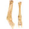 Semmelstoppelpilz 200g Semmelstoppelpilz 200g