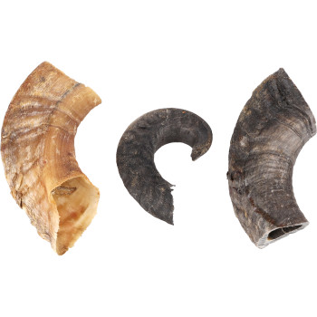 Chifre de carneiro 200g