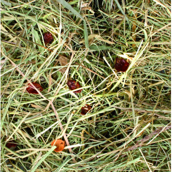 Fieno di montagna con rosa canina 500g