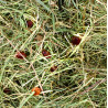Fieno di montagna con rosa canina 500g Fieno di montagna con rosa canina 500g