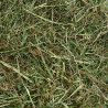 Fieno di montagna con menta 500g