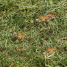 Mountain hay with corn and wheat 500g Mountain hay with corn and wheat 500g