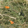 Berg hooi met paardenbloem bloemen 500g