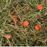 Mountain hay with carrots 500g Mountain hay with carrots 500g