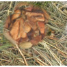 Fieno di montagna con mela 500g
