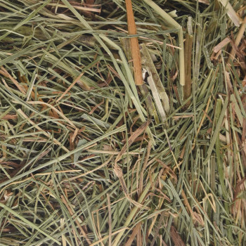 Fieno di montagna con ortica 500g