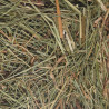 Fieno di montagna con ortica 500g