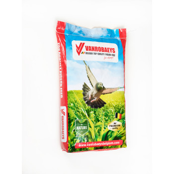 Platteeuw Spécial 20kg - N°523 - Mélange pour pigeon - Vanrobaeys