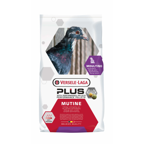 copy of Mutine Plus 20kg - Rui mengsel met Plus korrels - Versele-Laga copy of Mutine Plus 20kg - Rui mengsel met Plus korrels - Versele-Laga